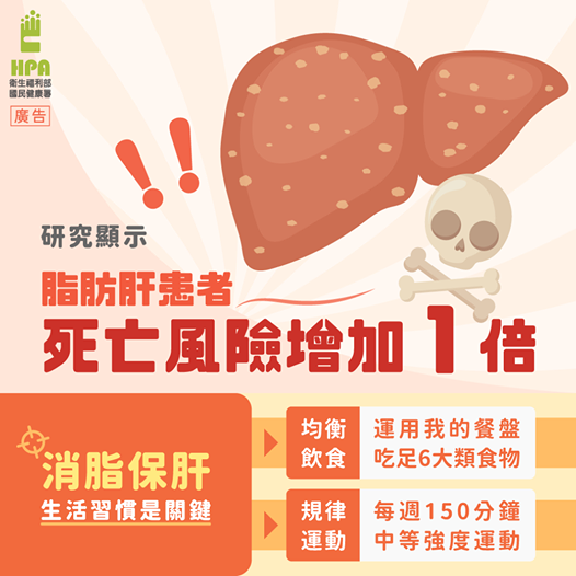 脂肪肝(國健署).png