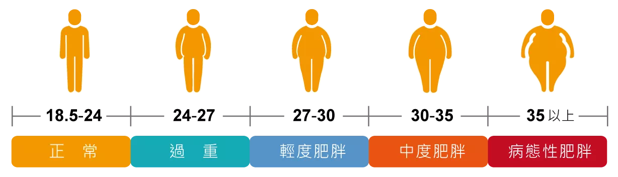 身體質量指數BMI